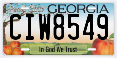 GA license plate CIW8549