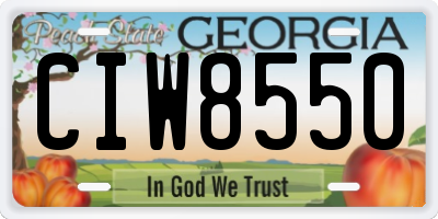 GA license plate CIW8550