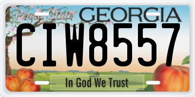 GA license plate CIW8557