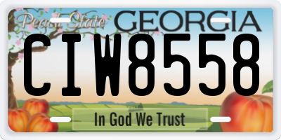 GA license plate CIW8558