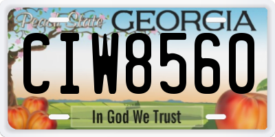 GA license plate CIW8560