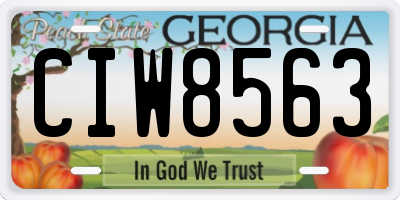 GA license plate CIW8563