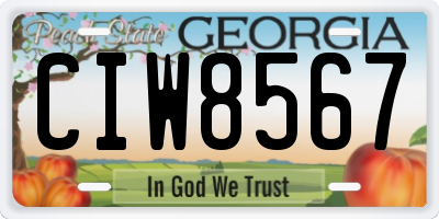 GA license plate CIW8567