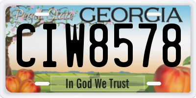 GA license plate CIW8578