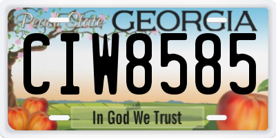GA license plate CIW8585