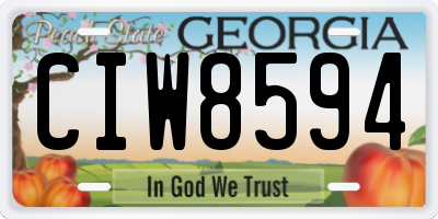 GA license plate CIW8594