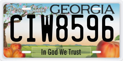 GA license plate CIW8596
