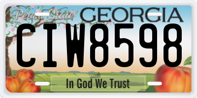 GA license plate CIW8598