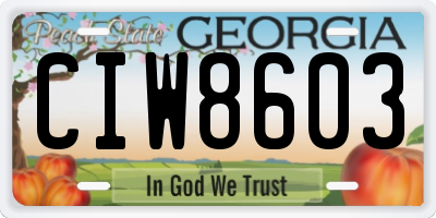 GA license plate CIW8603
