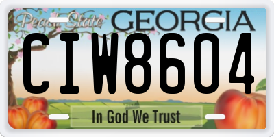 GA license plate CIW8604