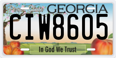 GA license plate CIW8605