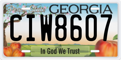 GA license plate CIW8607