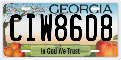 GA license plate CIW8608