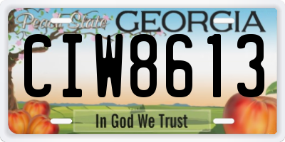 GA license plate CIW8613