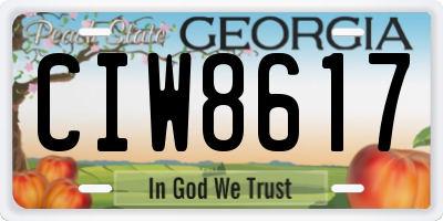 GA license plate CIW8617