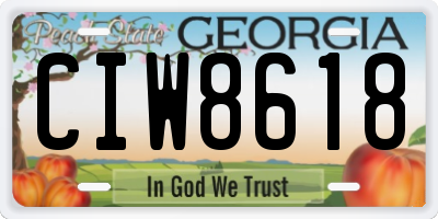 GA license plate CIW8618