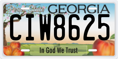 GA license plate CIW8625