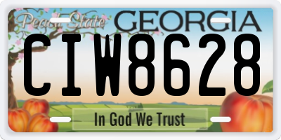 GA license plate CIW8628