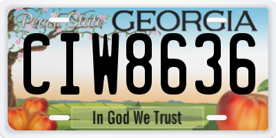GA license plate CIW8636