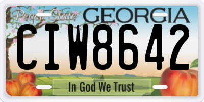 GA license plate CIW8642