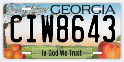 GA license plate CIW8643