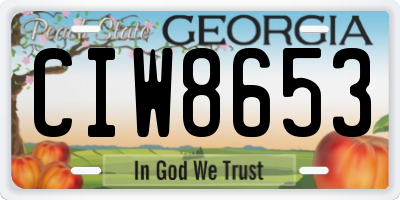 GA license plate CIW8653