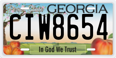 GA license plate CIW8654