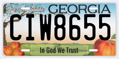 GA license plate CIW8655