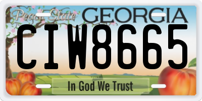 GA license plate CIW8665