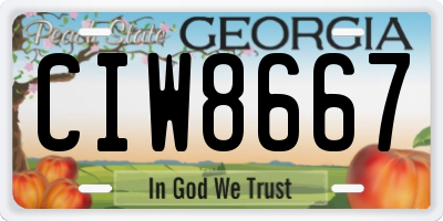 GA license plate CIW8667