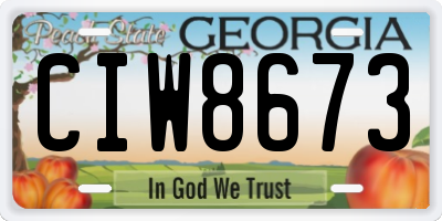 GA license plate CIW8673