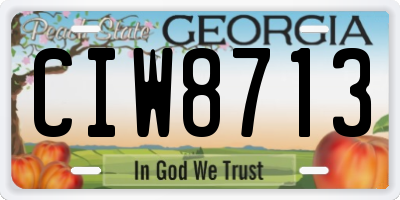 GA license plate CIW8713