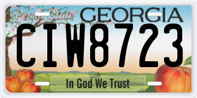 GA license plate CIW8723