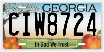 GA license plate CIW8724