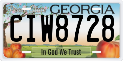 GA license plate CIW8728