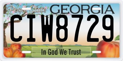 GA license plate CIW8729