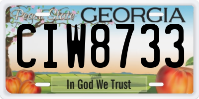 GA license plate CIW8733