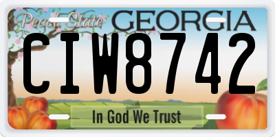 GA license plate CIW8742