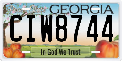 GA license plate CIW8744
