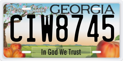 GA license plate CIW8745