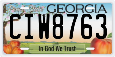 GA license plate CIW8763