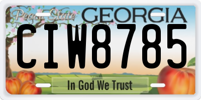 GA license plate CIW8785