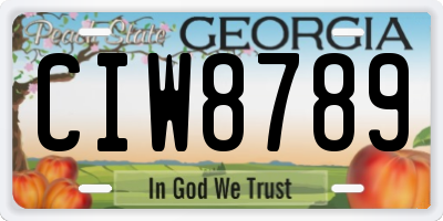 GA license plate CIW8789