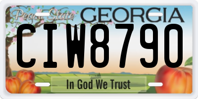 GA license plate CIW8790
