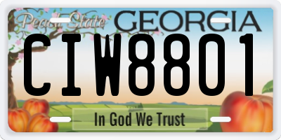GA license plate CIW8801