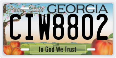 GA license plate CIW8802