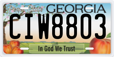 GA license plate CIW8803