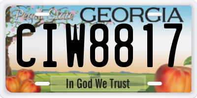 GA license plate CIW8817