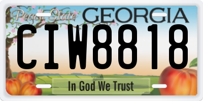 GA license plate CIW8818