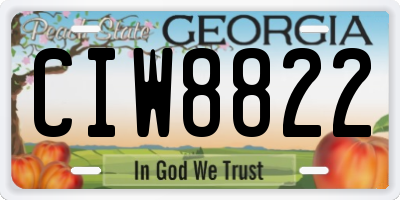 GA license plate CIW8822